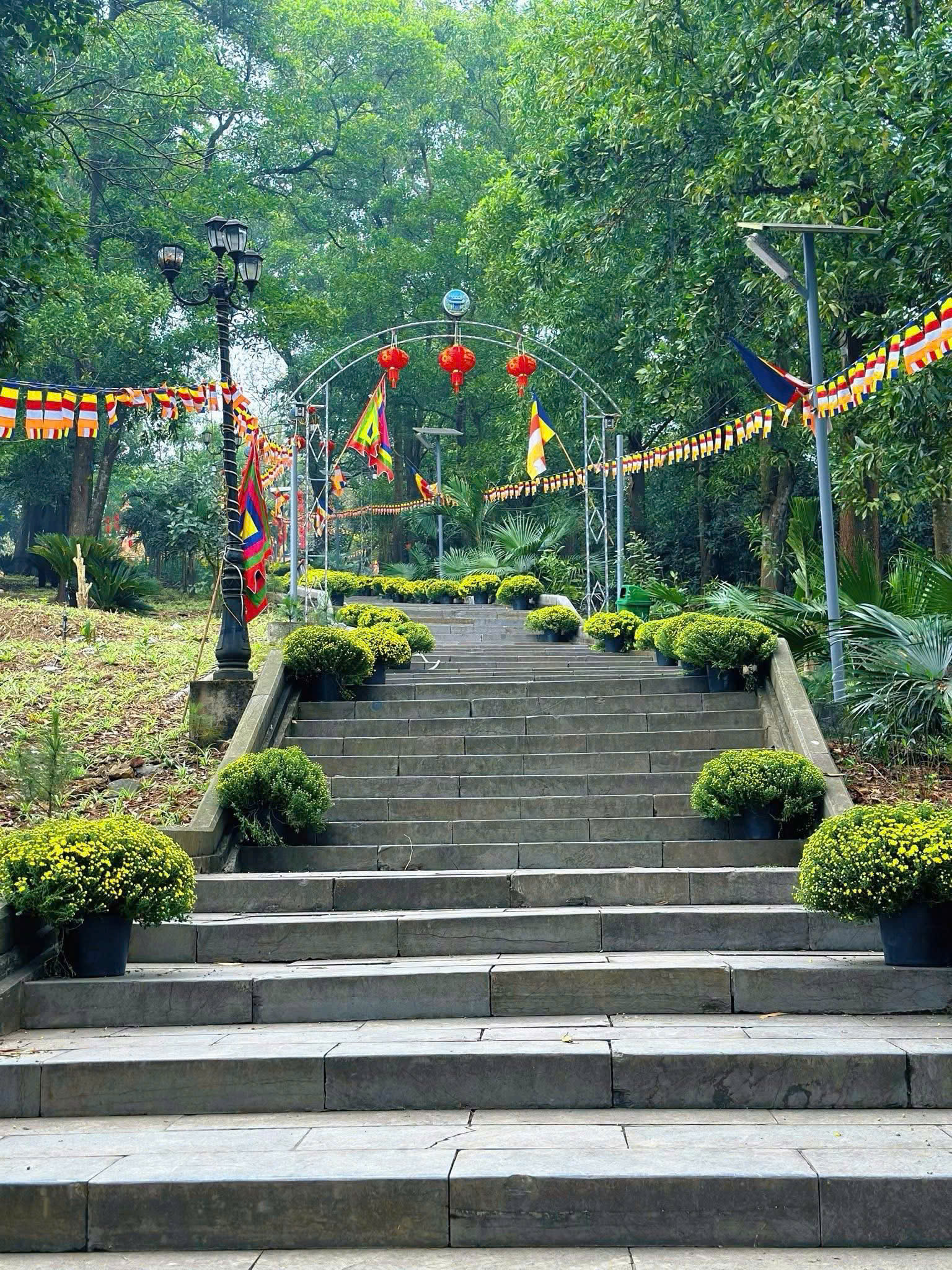 Cờ dây lễ hội
