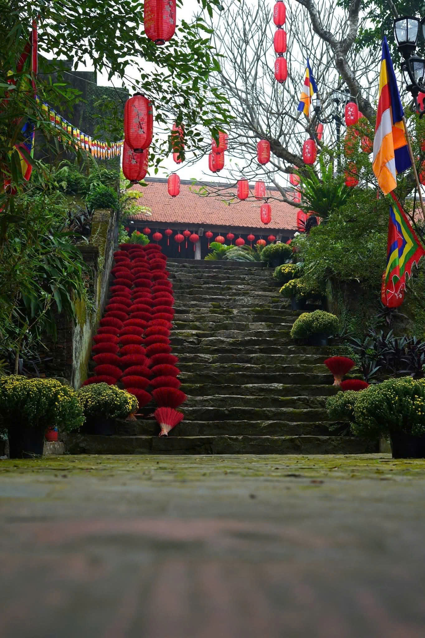 Cờ dây lễ hội