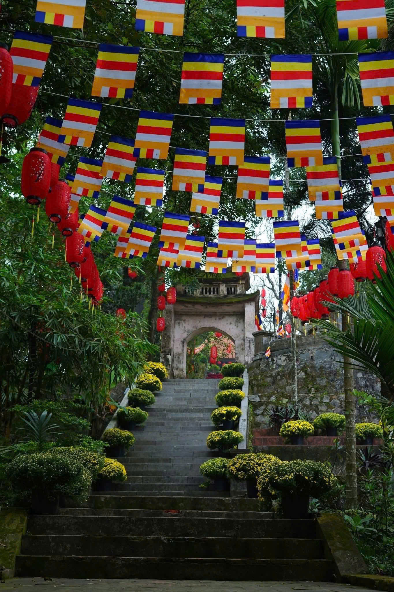 Cờ dây chữ nhật