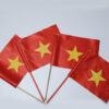 Cờ Tổ Quốc vẫy cổ vũ