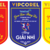 Cờ lưu niệm vector