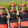 Mũ đồng phục nhân viên