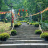 Cờ dây lễ hội